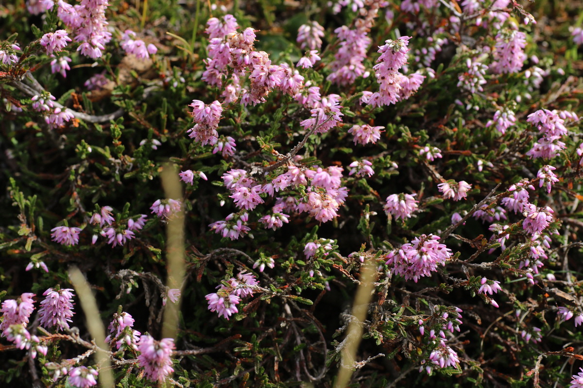 IMG-2015-08-19-00007521_Bildgr��e �ndern