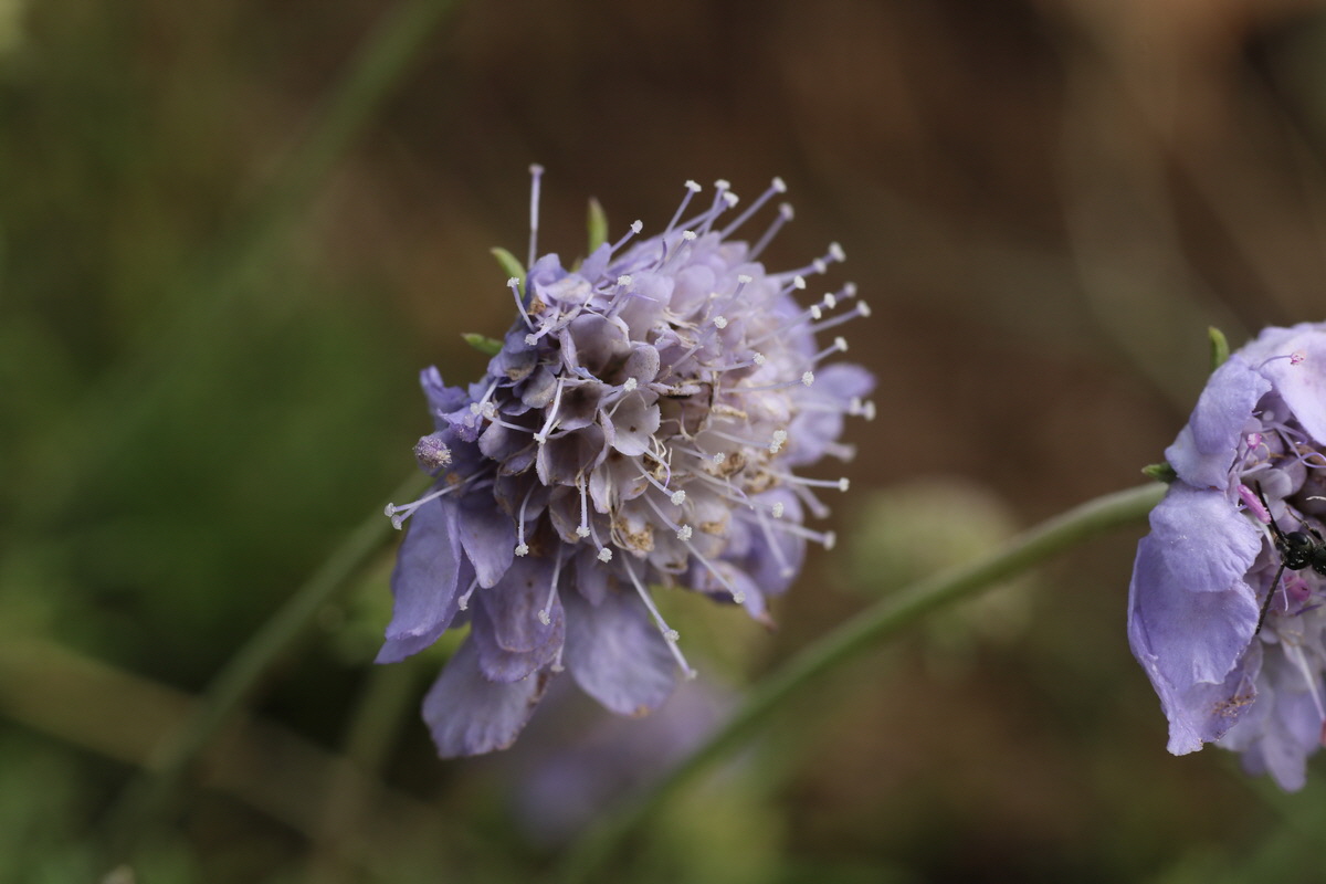 IMG-2015-08-19-00007524_Bildgr��e �ndern