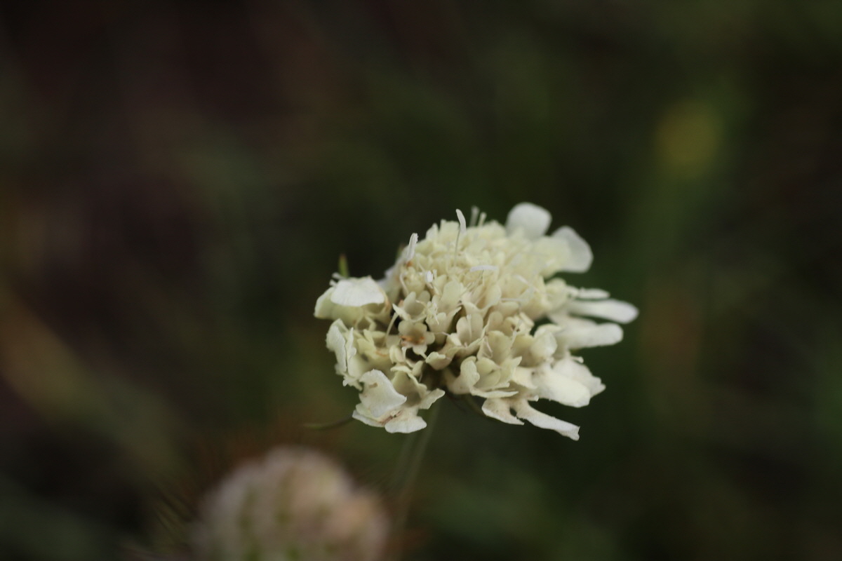 IMG-2015-08-19-00007526_Bildgr��e �ndern