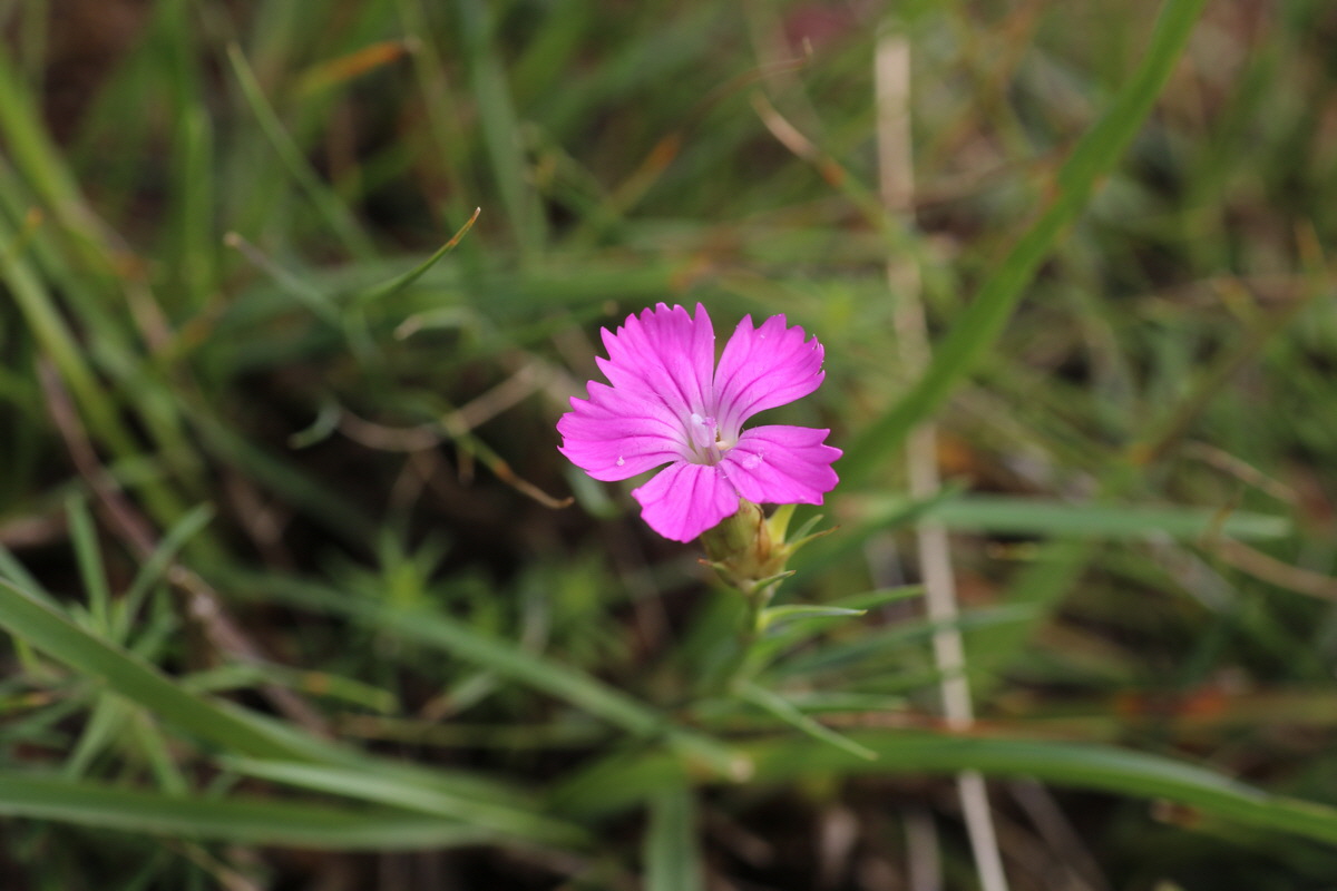 IMG-2015-08-19-00007528_Bildgr��e �ndern