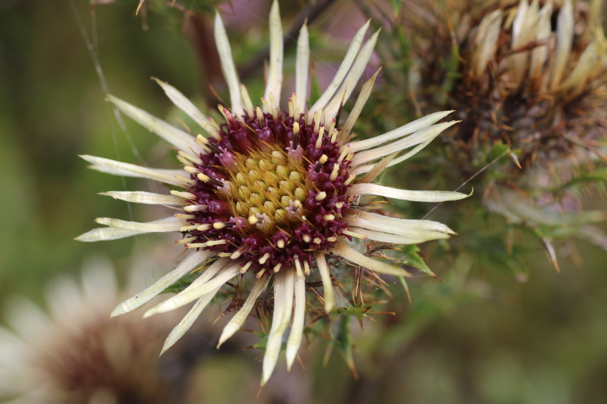 IMG-2015-08-19-00007530_Bildgr��e �ndern