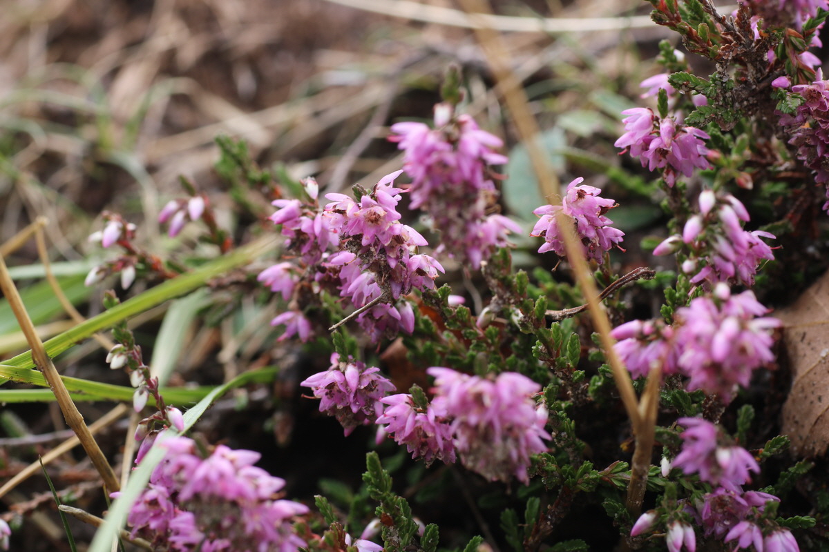 IMG-2015-08-19-00007551_Bildgr��e �ndern