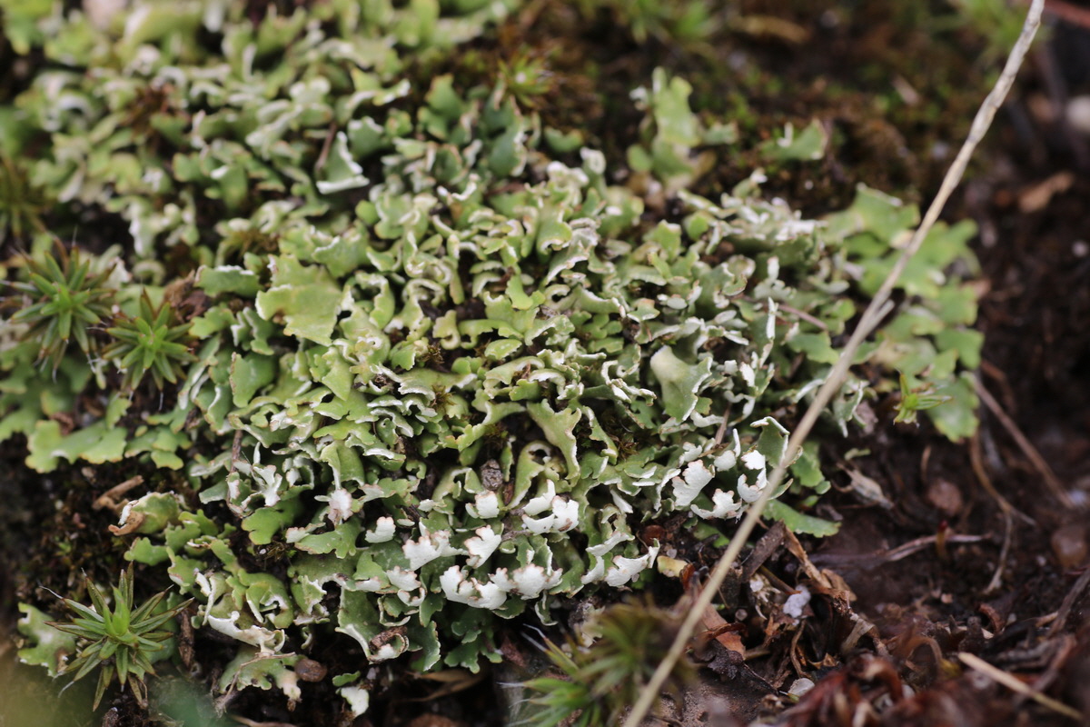 IMG-2015-08-19-00007560_Bildgr��e �ndern