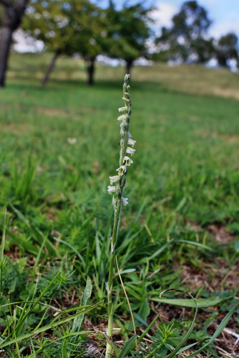 IMG-2015-08-29-00007632p_Bildgr��e �ndern