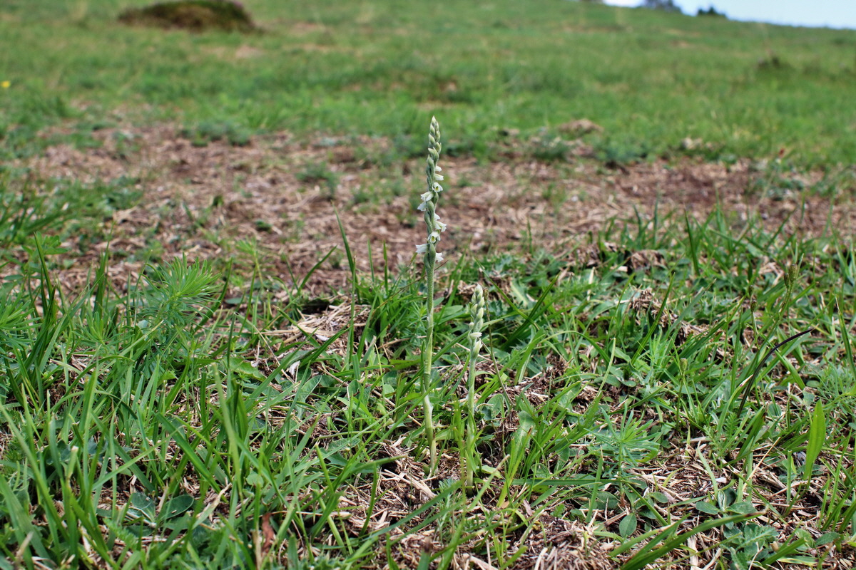 IMG-2015-08-29-00007642p_Bildgr��e �ndern