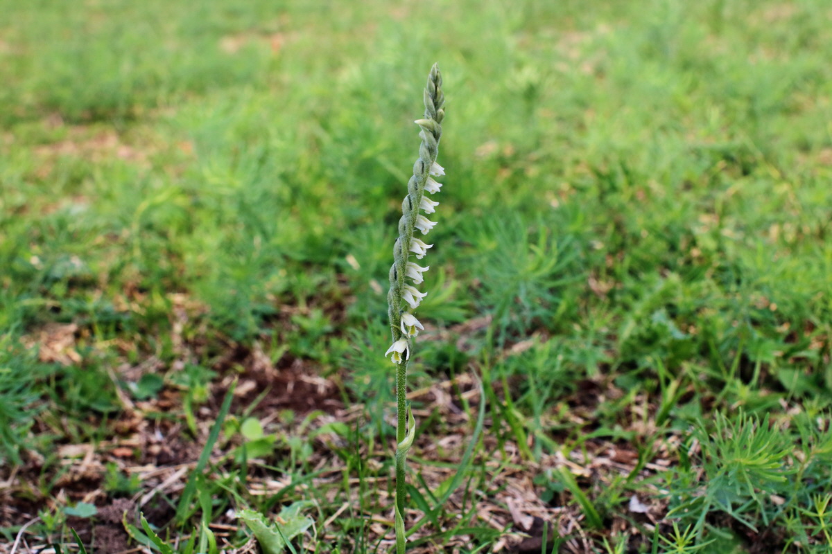 IMG-2015-08-29-00007649p_Bildgr��e �ndern