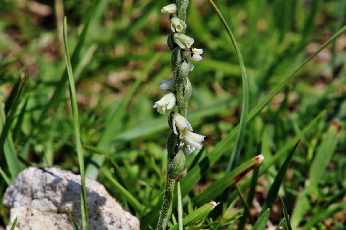 IMG-2015-08-29-00007662p_Bildgr��e �ndern