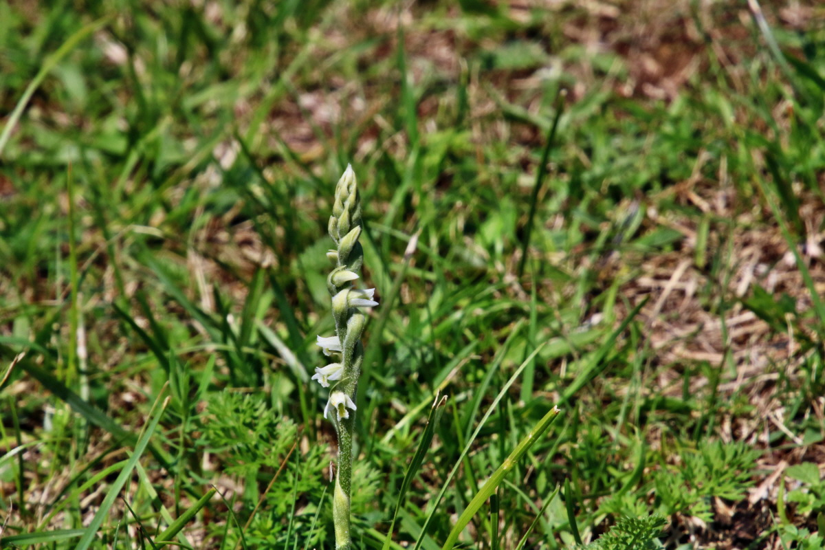 IMG-2015-08-29-00007667p_Bildgr��e �ndern