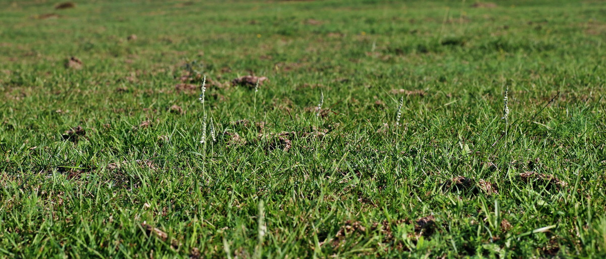 [Group 2]-IMG-2015-08-31-00007795_IMG-2015-08-31-00007800-2 imagesp_Bildgr��e �ndern