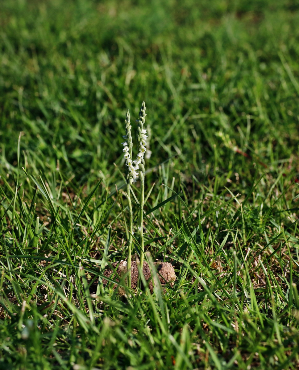 [Group 2]-IMG-2015-08-31-00007801_IMG-2015-08-31-00007807-2 imagesp_Bildgr��e �ndern