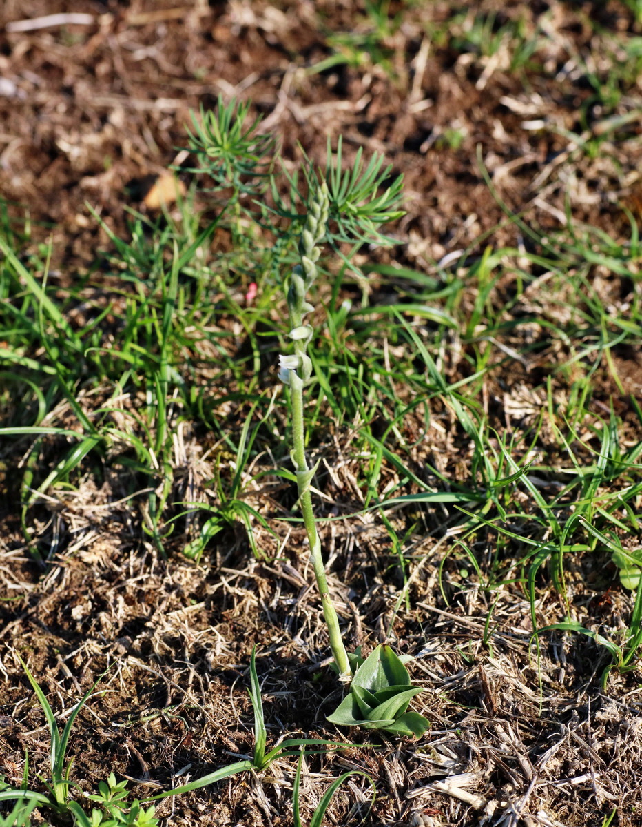 [Group 2]-IMG-2015-08-31-00007809_IMG-2015-08-31-00007815-2 imagesp_Bildgr��e �ndern