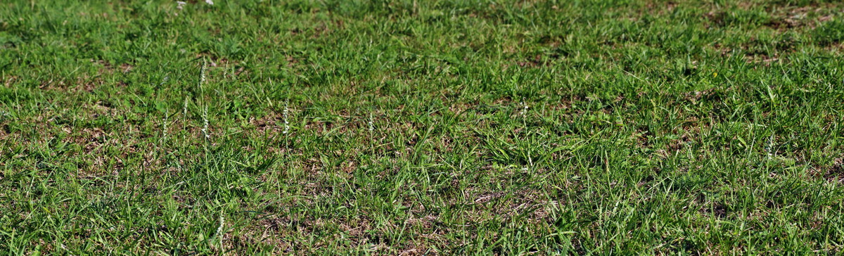 [Group 2]-IMG-2015-08-31-00007861_IMG-2015-08-31-00007868-3 imagesp_Bildgr��e �ndern