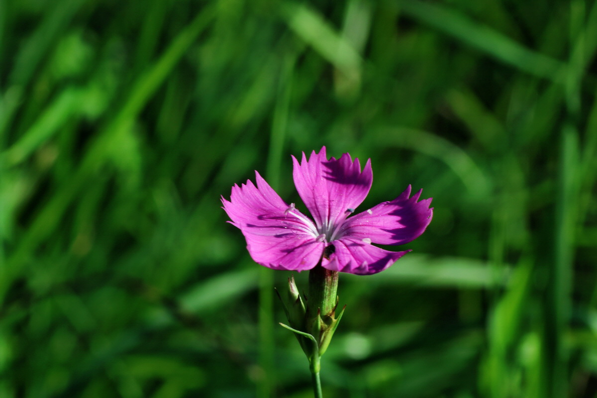 IMG-2015-08-31-00007696p_Bildgr��e �ndern