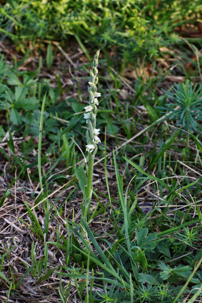 IMG-2015-08-31-00007716p_Bildgr��e �ndern