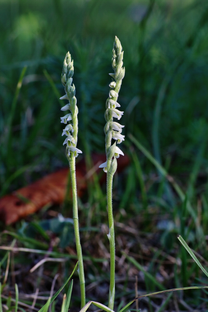 IMG-2015-08-31-00007727p_Bildgr��e �ndern