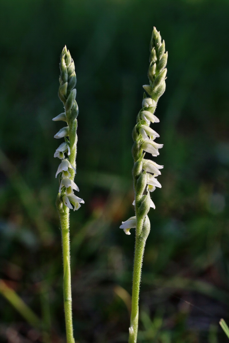 IMG-2015-08-31-00007731p_Bildgr��e �ndern