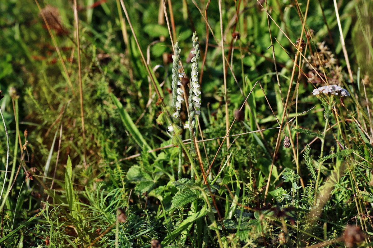 IMG-2015-08-31-00007747p_Bildgr��e �ndern