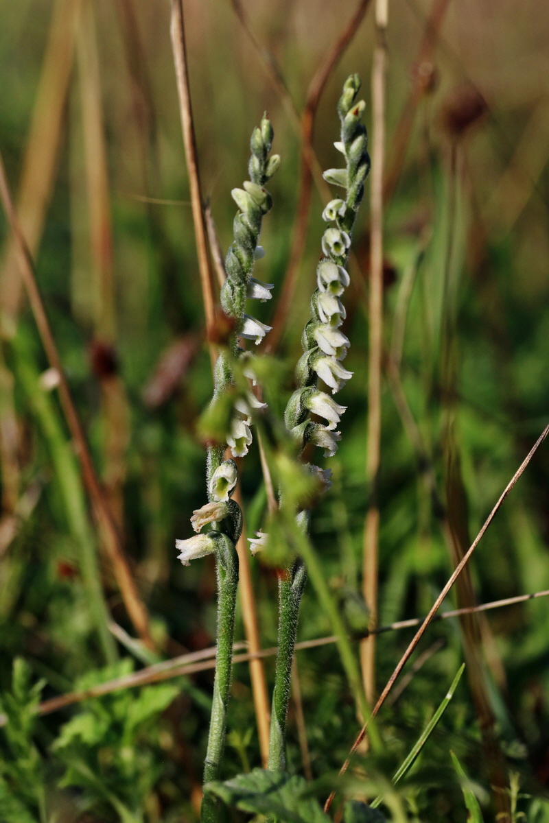 IMG-2015-08-31-00007749p_Bildgr��e �ndern