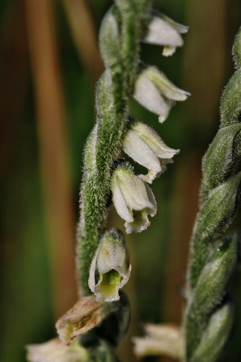 IMG-2015-08-31-00007752p_Bildgr��e �ndern