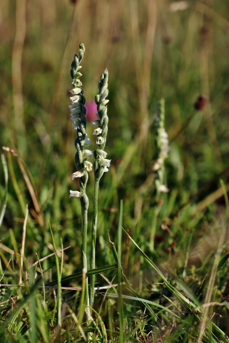 IMG-2015-08-31-00007759p_Bildgr��e �ndern