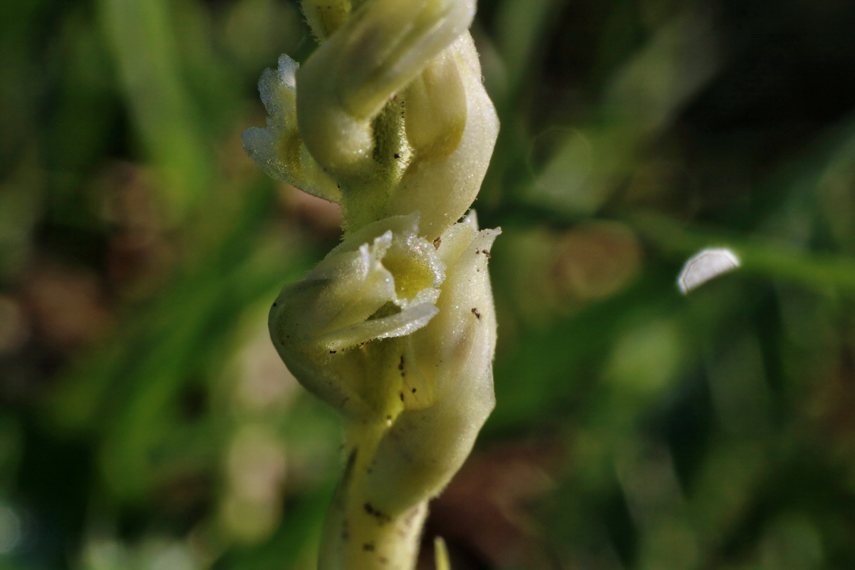 IMG-2015-08-31-00007763p_Bildgr��e �ndern