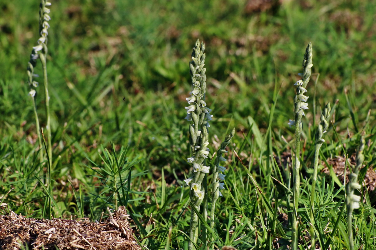 IMG-2015-08-31-00007766p_Bildgr��e �ndern