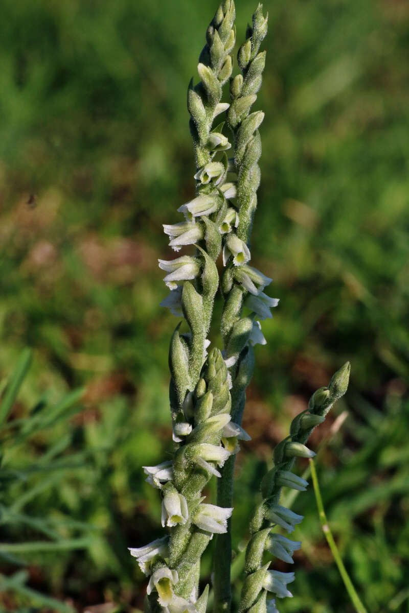 IMG-2015-08-31-00007771p_Bildgr��e �ndern