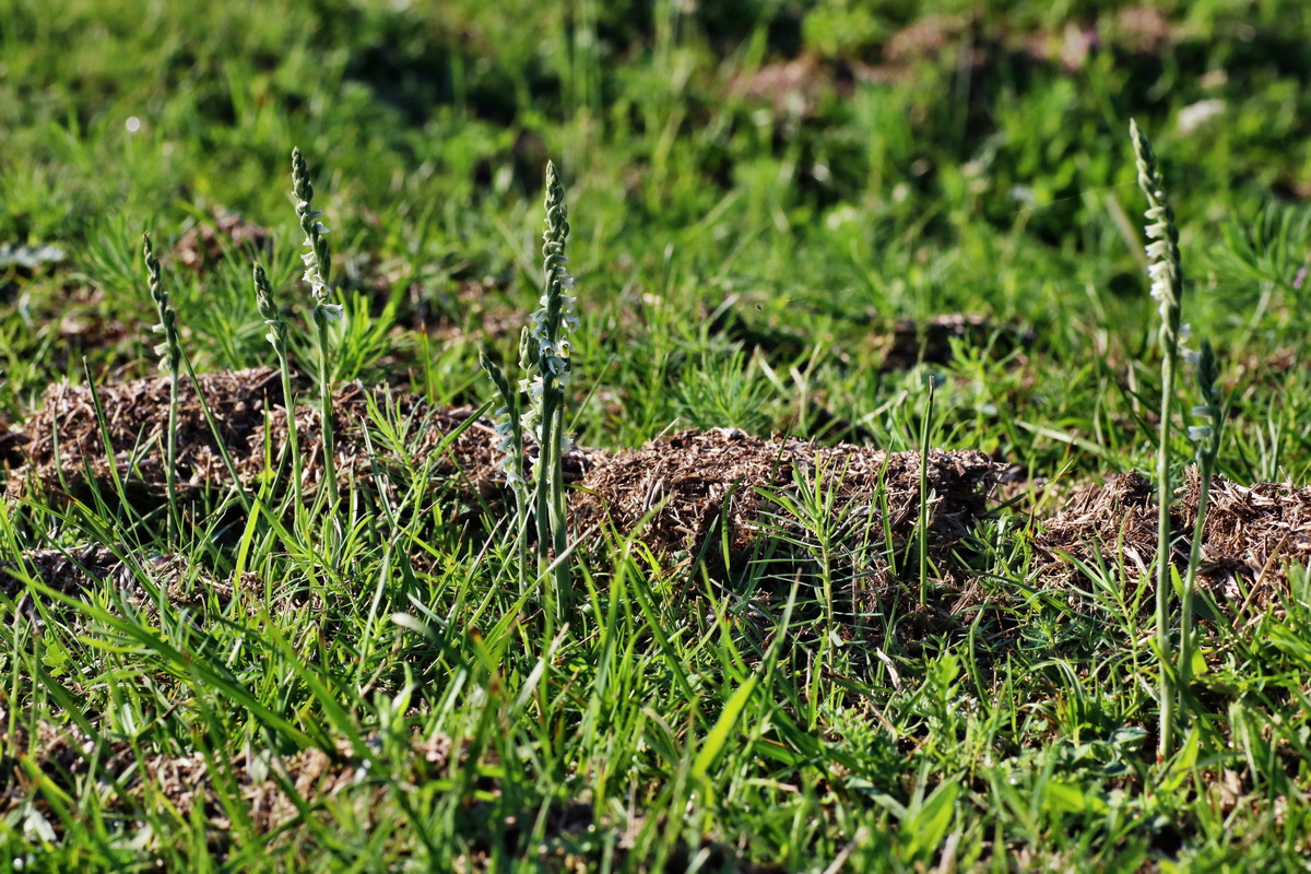 IMG-2015-08-31-00007774p_Bildgr��e �ndern