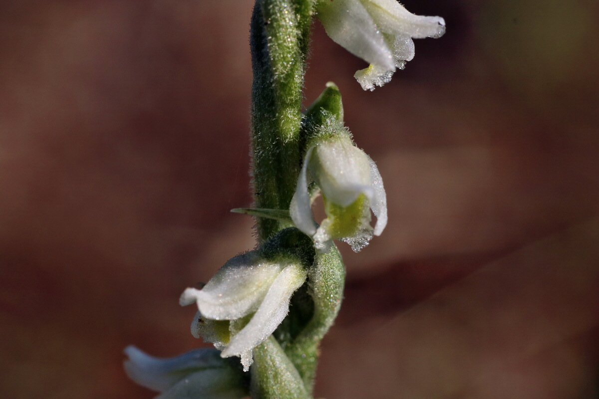 IMG-2015-08-31-00007787p_Bildgr��e �ndern