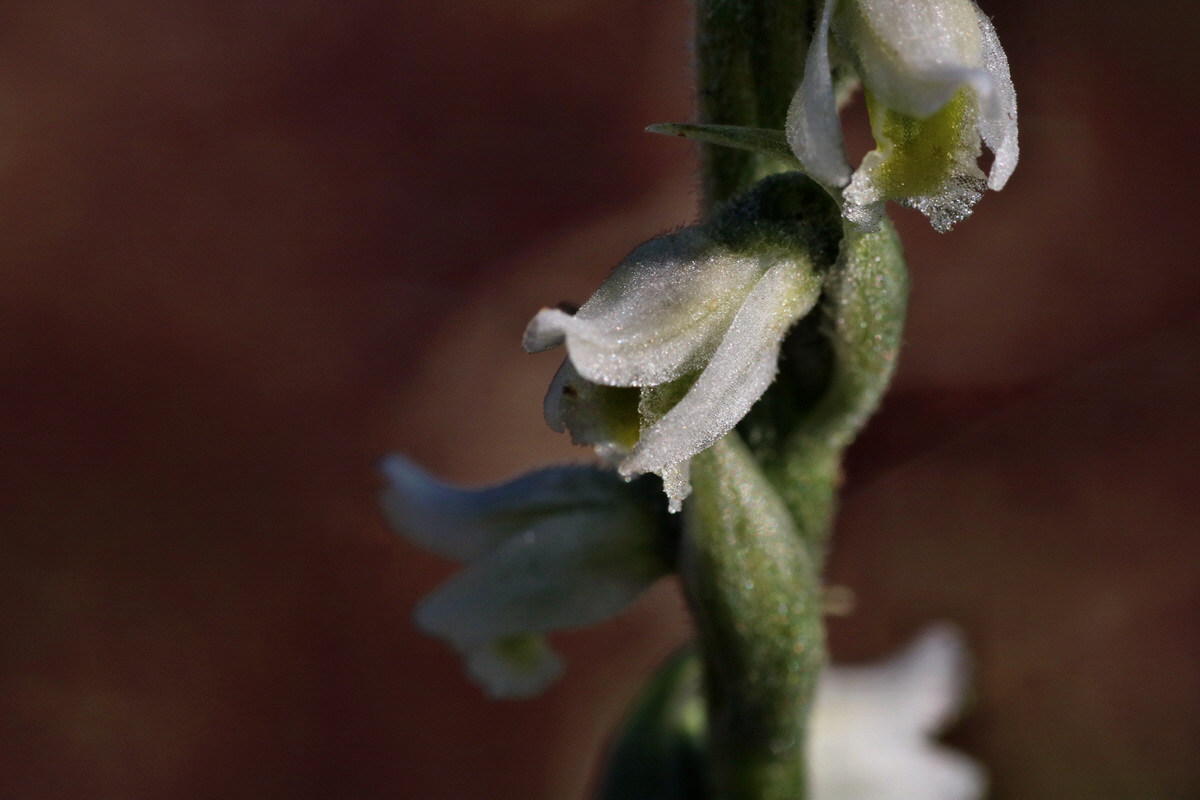 IMG-2015-08-31-00007792p_Bildgr��e �ndern