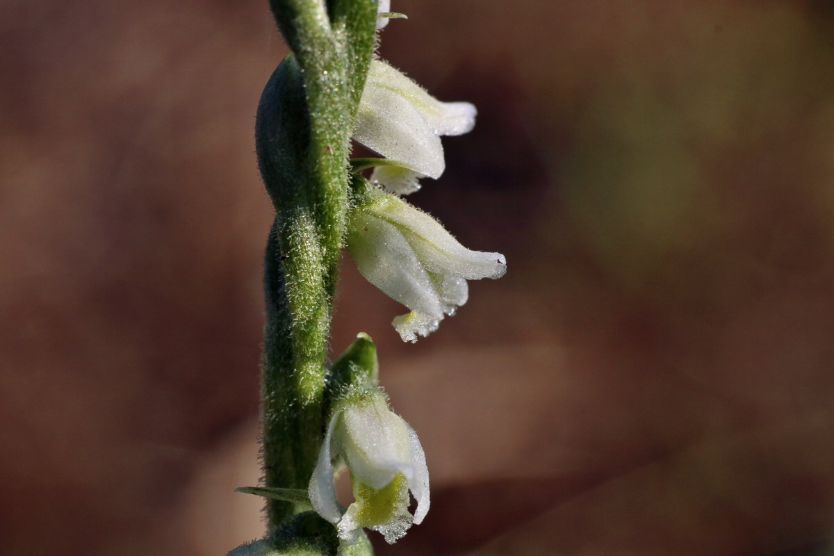 IMG-2015-08-31-00007793p_Bildgr��e �ndern