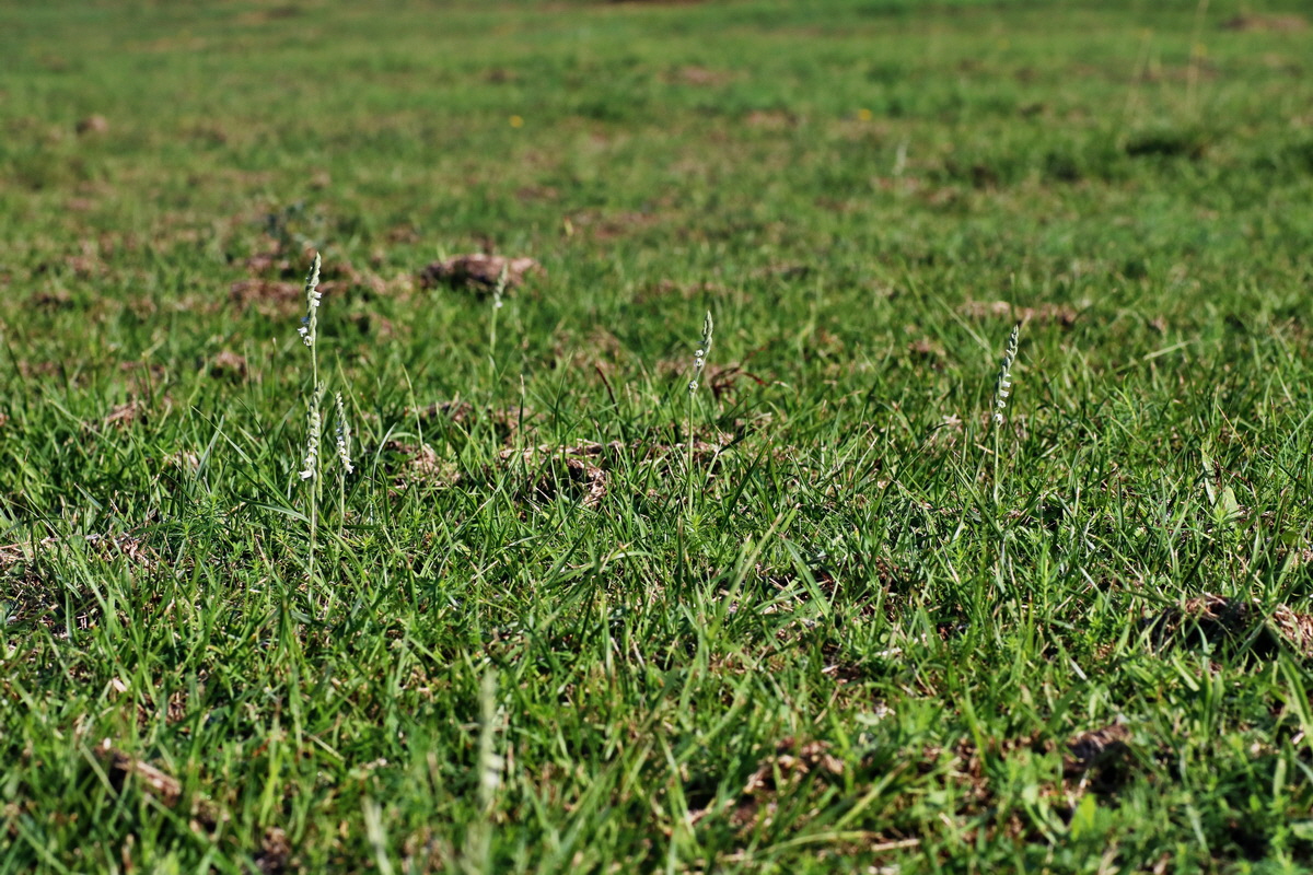 IMG-2015-08-31-00007797p_Bildgr��e �ndern