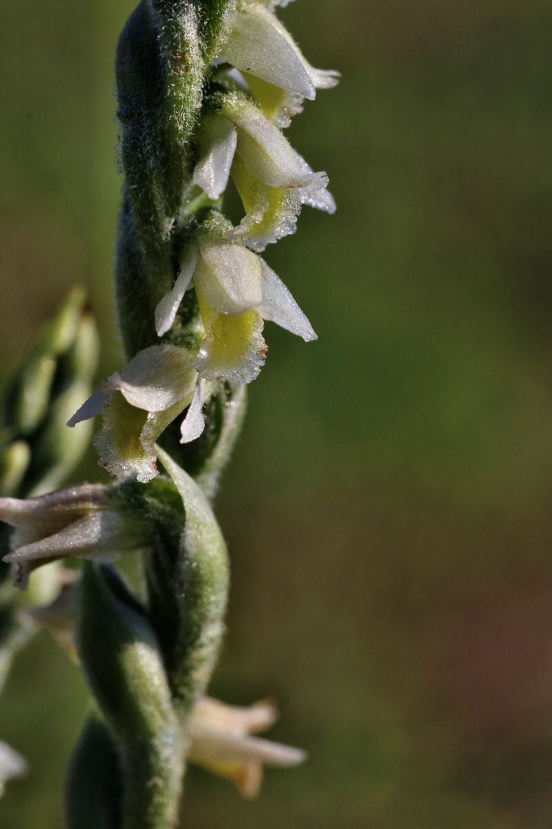 IMG-2015-08-31-00007880p_Bildgr��e �ndern