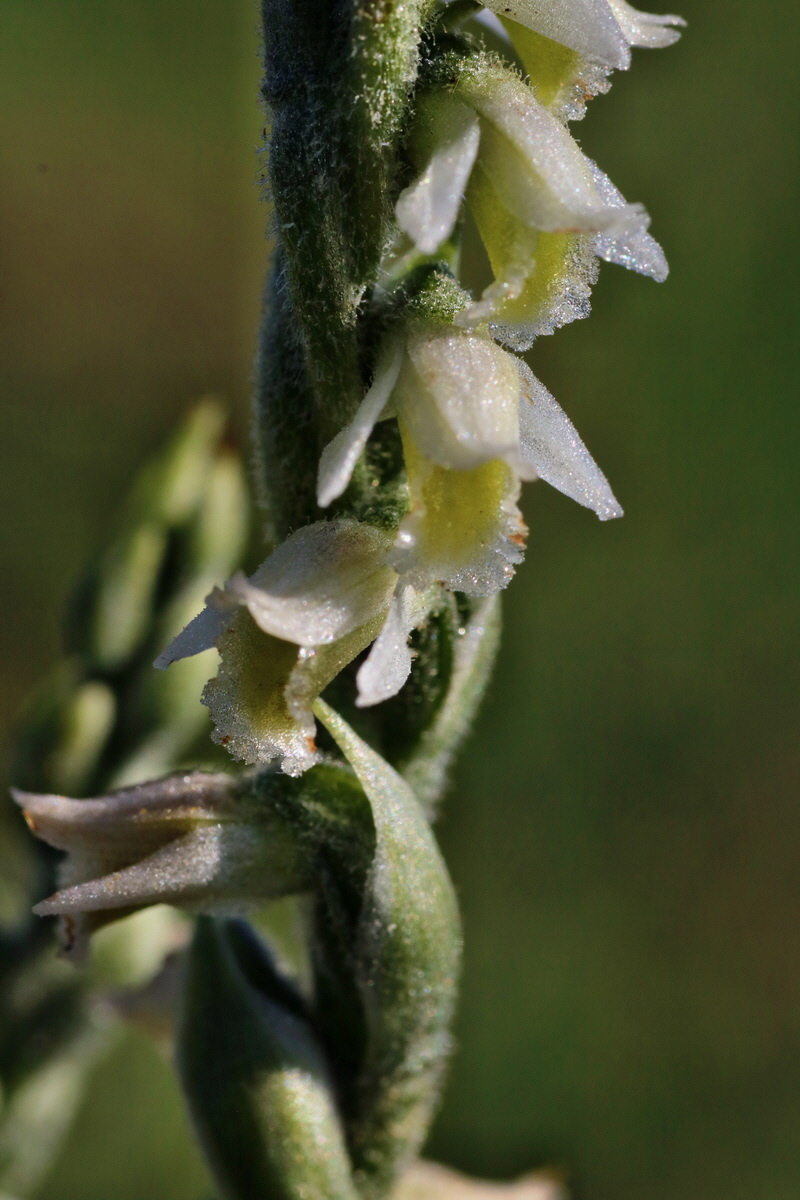 IMG-2015-08-31-00007887p_Bildgr��e �ndern