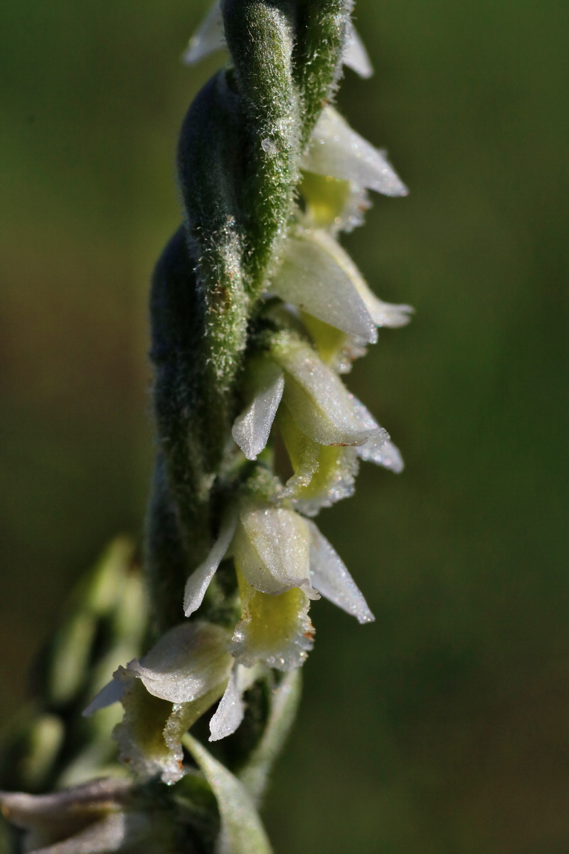 IMG-2015-08-31-00007889p_Bildgr��e �ndern