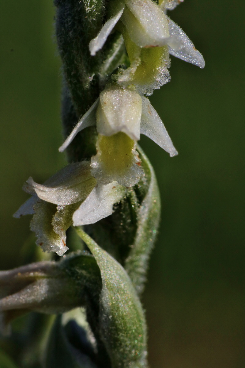 IMG-2015-08-31-00007911p_Bildgr��e �ndern