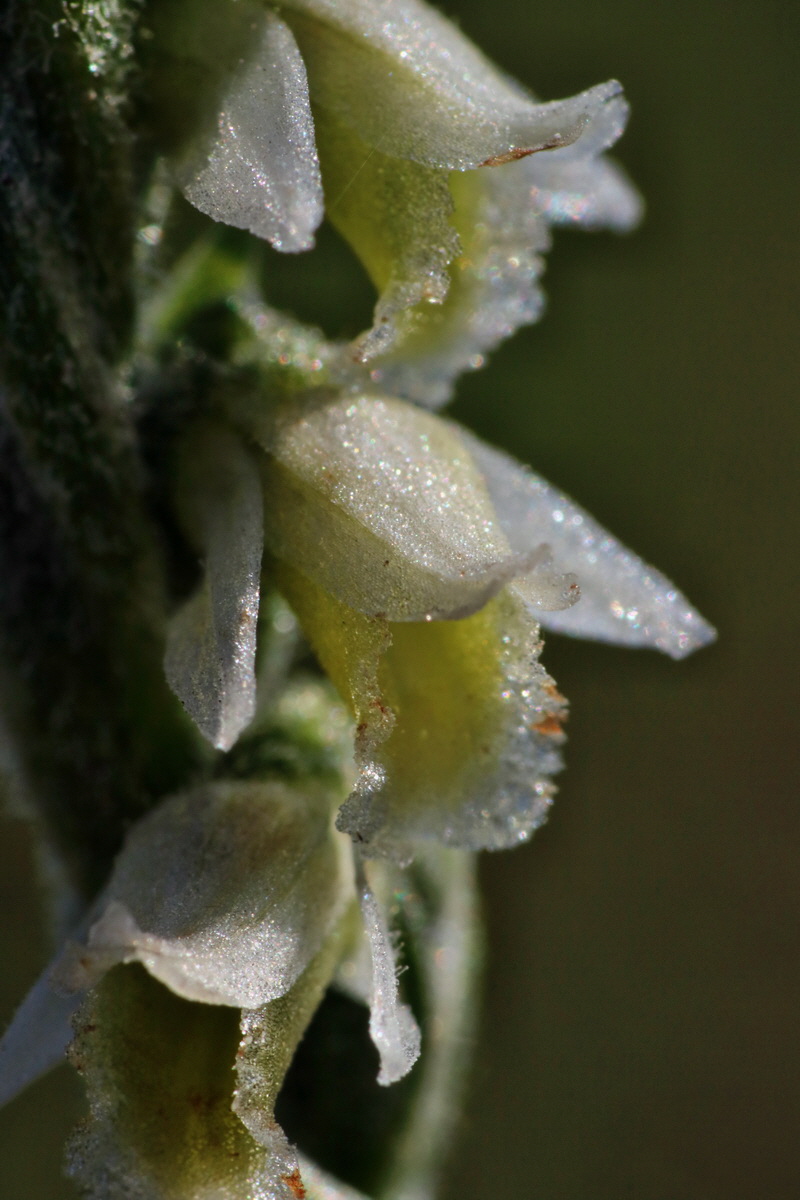 IMG-2015-08-31-00007917p_Bildgr��e �ndern