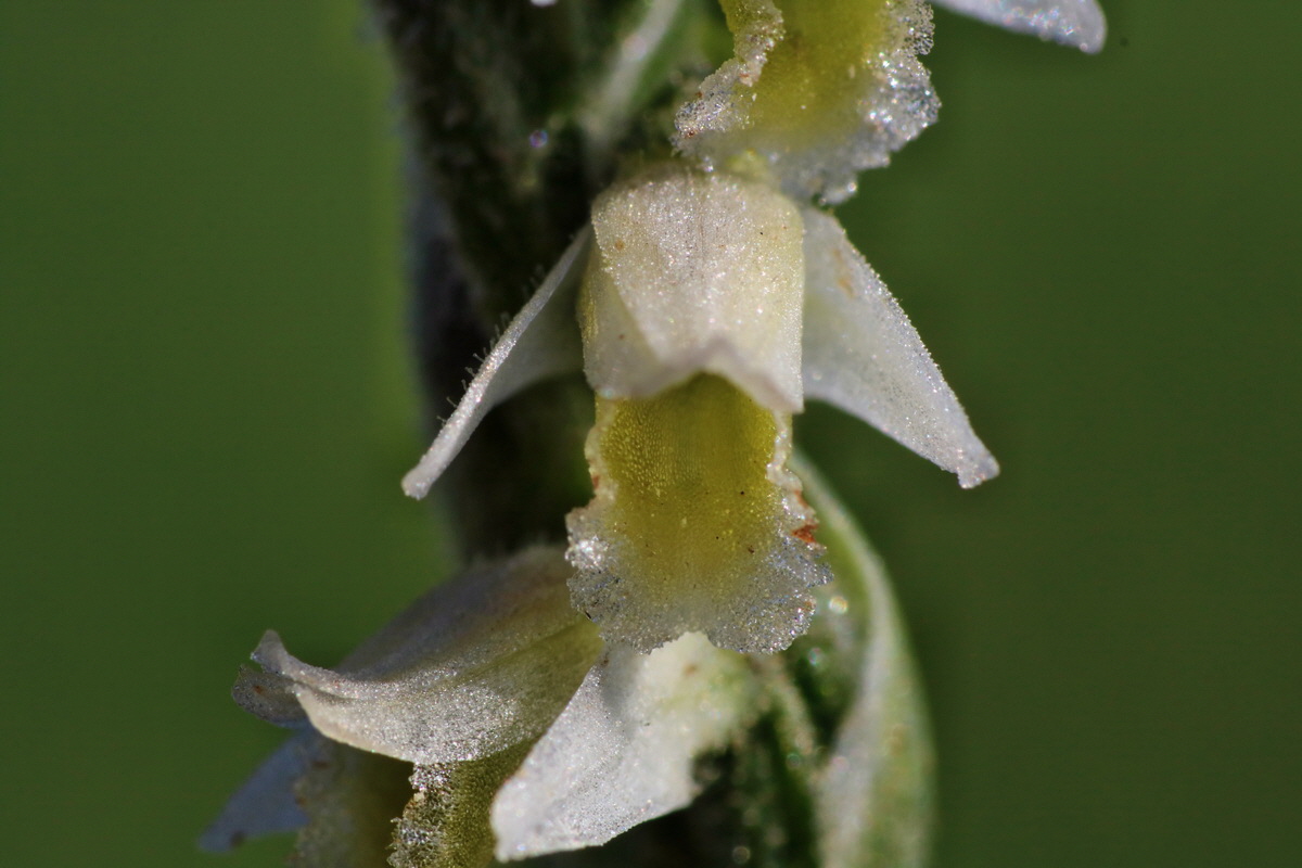 IMG-2015-08-31-00007935p_Bildgr��e �ndern