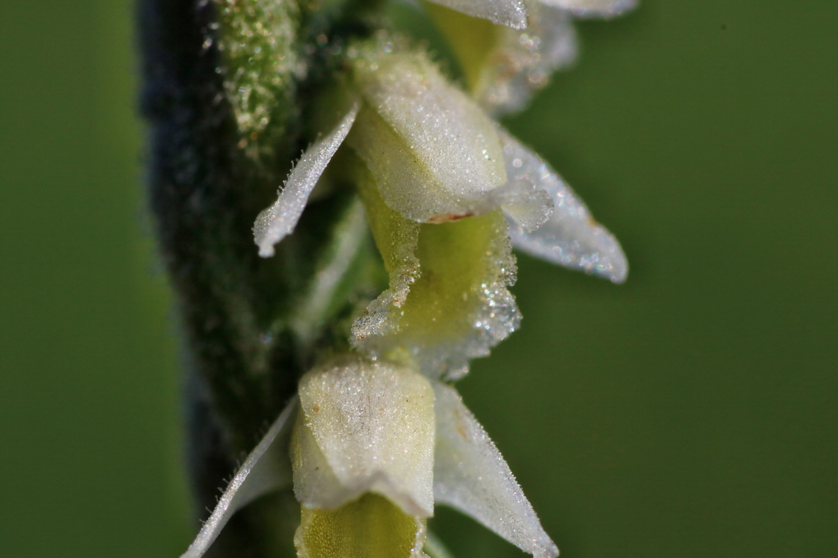 IMG-2015-08-31-00007944p_Bildgr��e �ndern