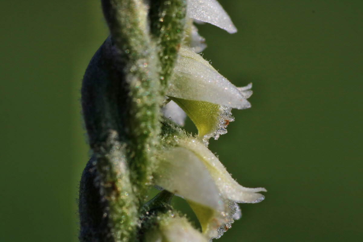 IMG-2015-08-31-00007951p_Bildgr��e �ndern