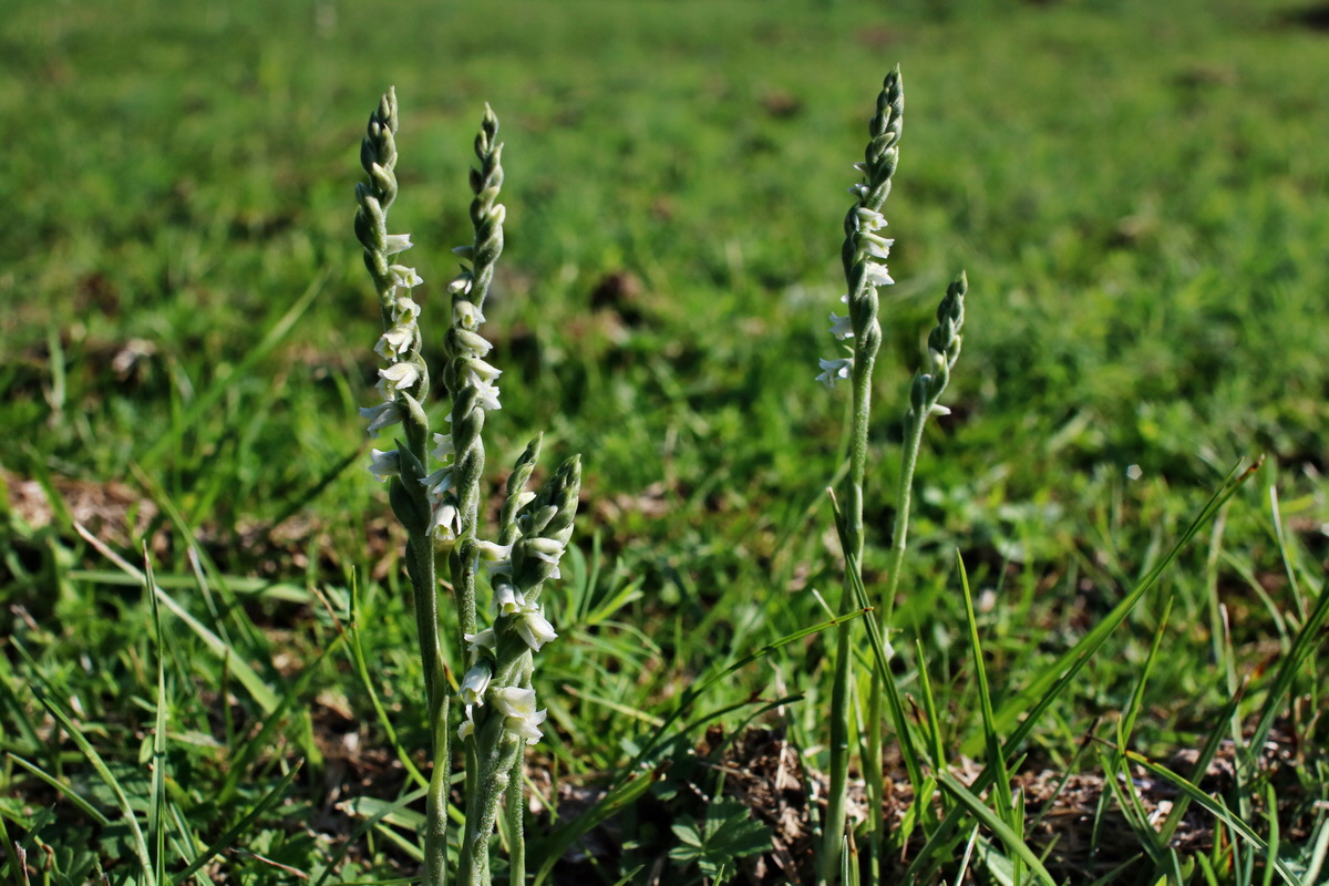 IMG-2015-08-31-00007969p_Bildgr��e �ndern