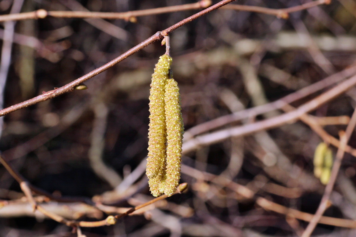 2015_02_19_00016045_Bildgr��e �ndern