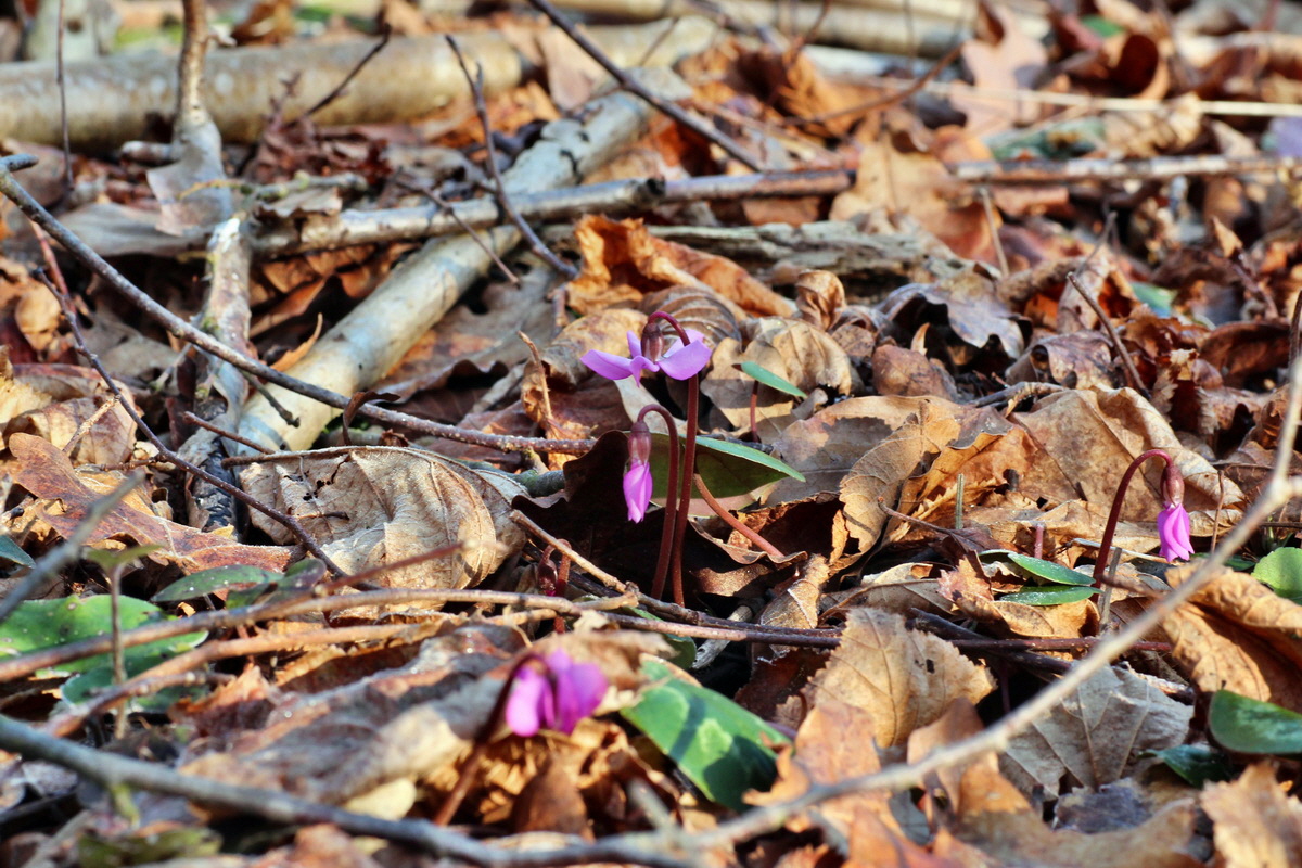 2015_02_19_00016061_Bildgr��e �ndern