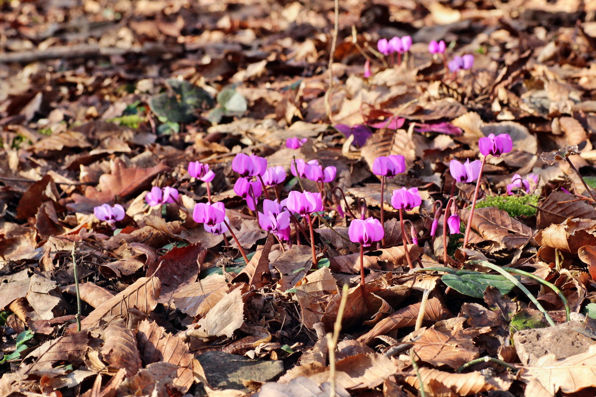 2015_02_19_00016075_Bildgr��e �ndern