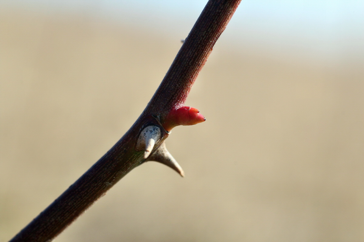 2015_02_19_00016077_Bildgr��e �ndern