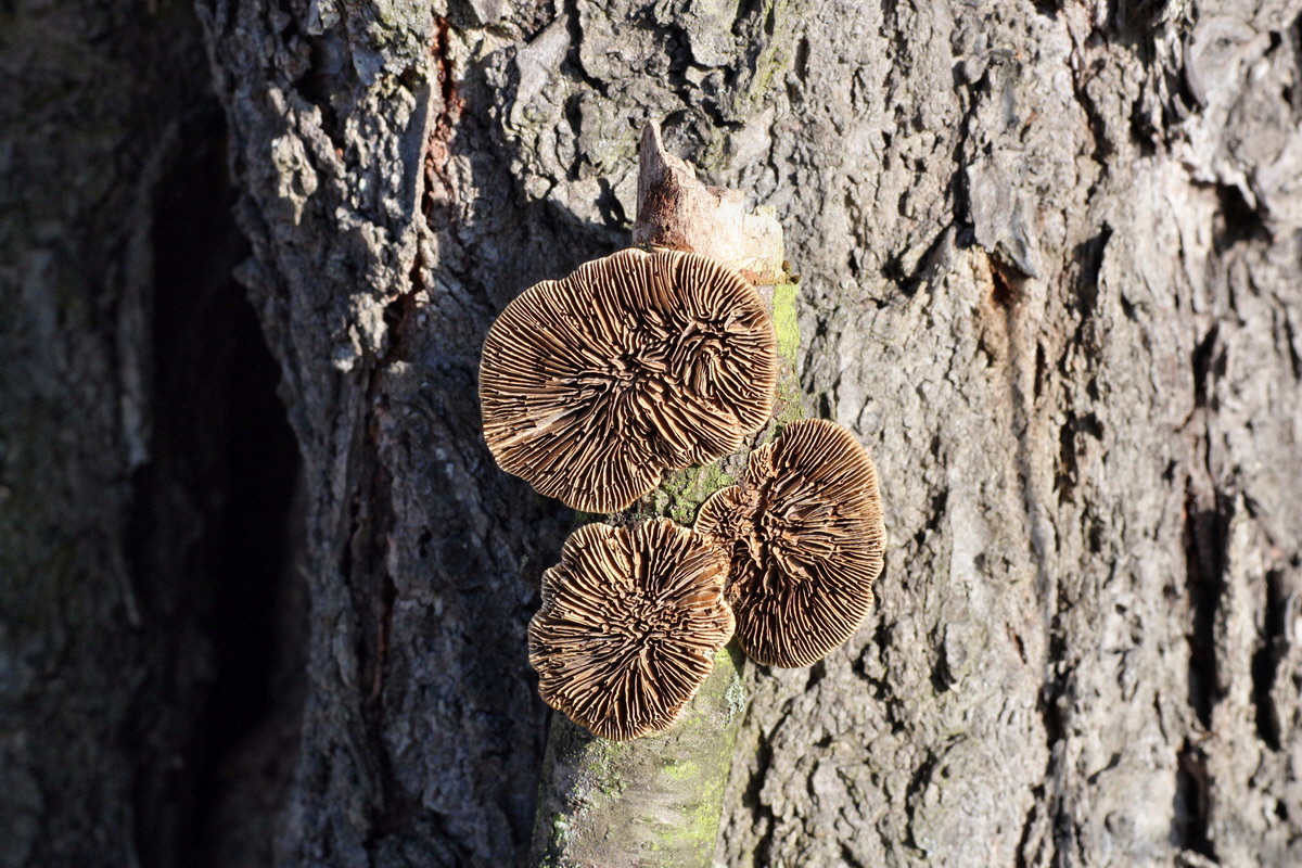 2015_02_19_00016078_Bildgr��e �ndern