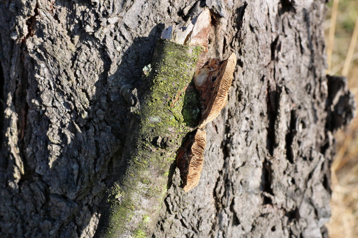 2015_02_19_00016081_Bildgr��e �ndern