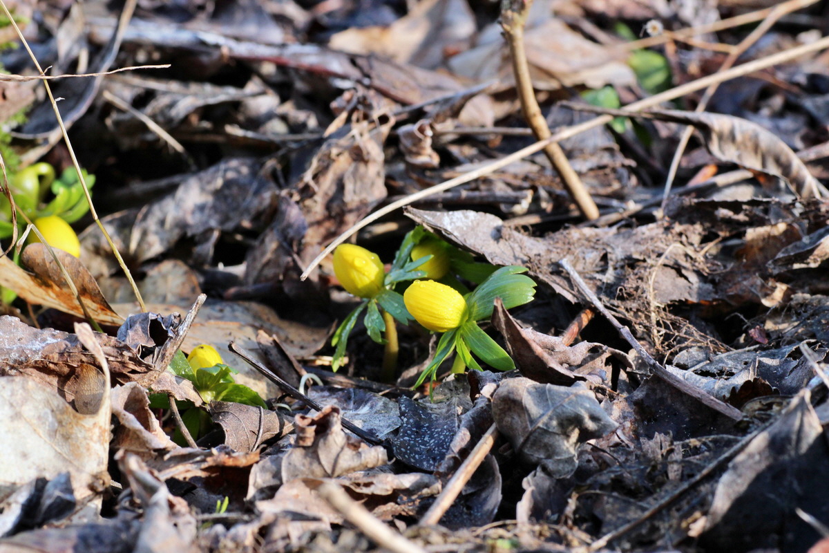 2015_02_19_00016088_Bildgr��e �ndern