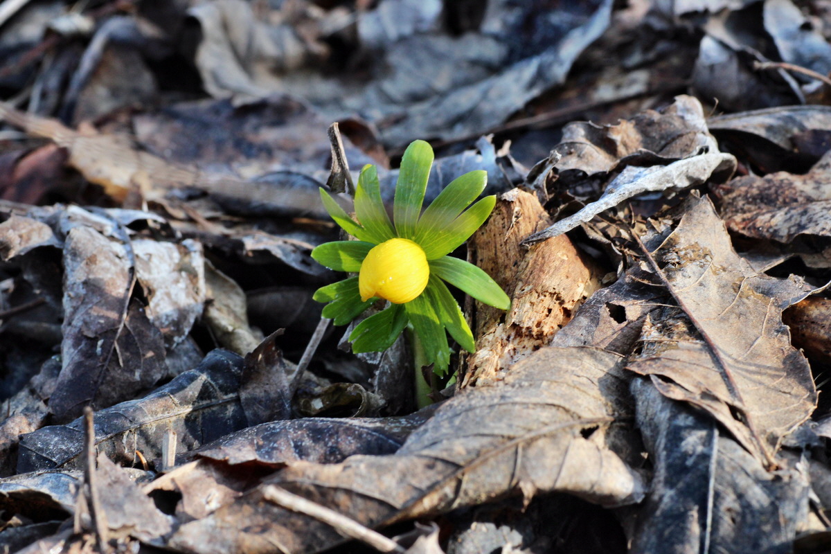 2015_02_19_00016090_Bildgr��e �ndern