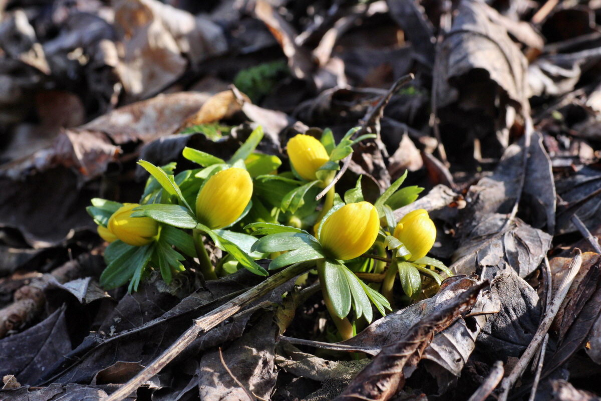 2015_02_19_00016092_Bildgr��e �ndern